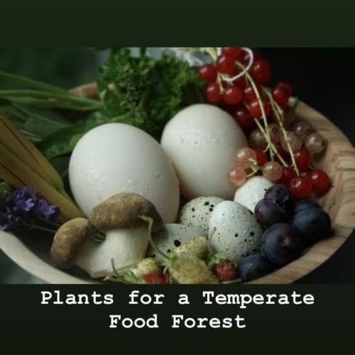 Plants for a Temperate Food Forest